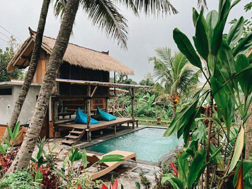 Pondok Apsari 2 Singaraja  Ngoại thất bức ảnh