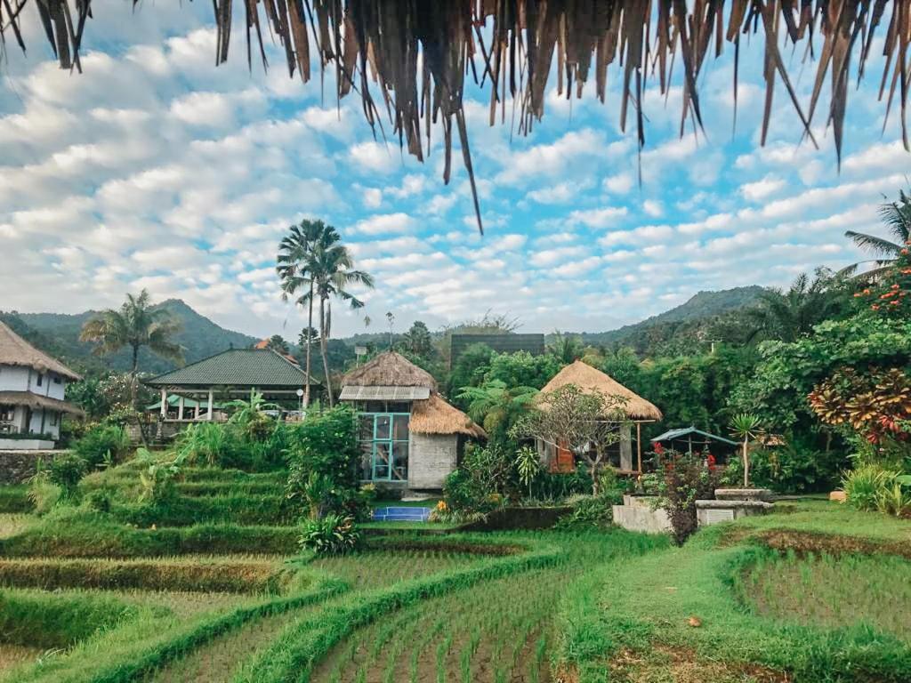 Pondok Apsari 2 Singaraja  Ngoại thất bức ảnh